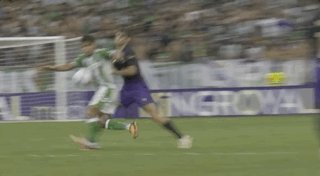 1792282628390052485.gif PA国际厅展示图片