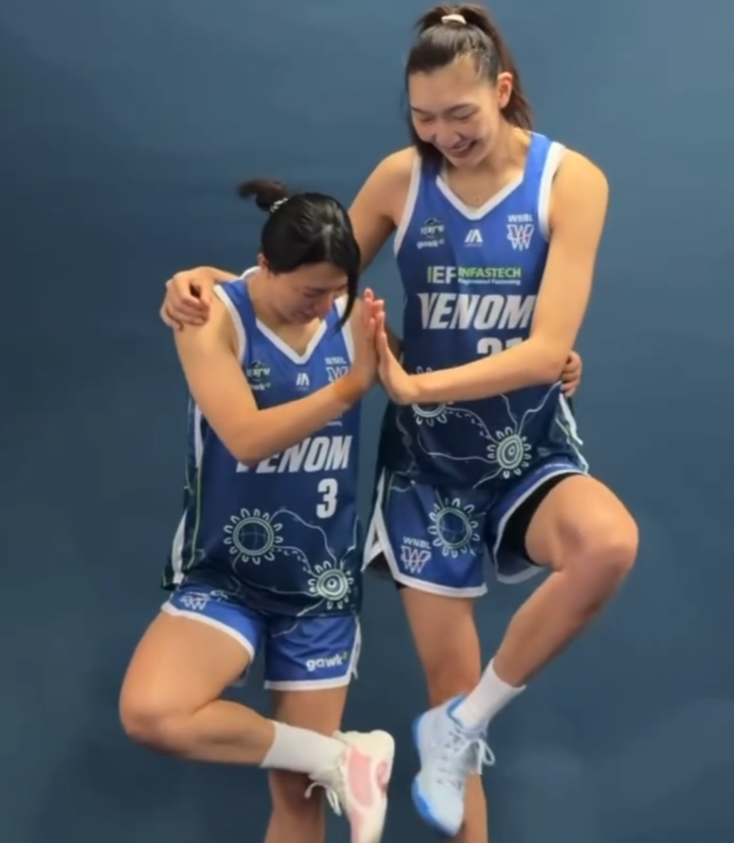 PA国际厅介绍图片